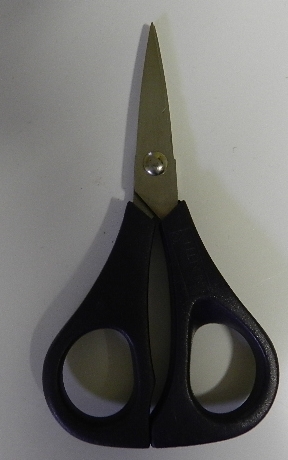 SAP Blue Braid Scissors